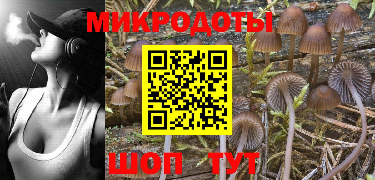 Галлюциногенные грибы MAGIC MUSHROOMS Ессентуки