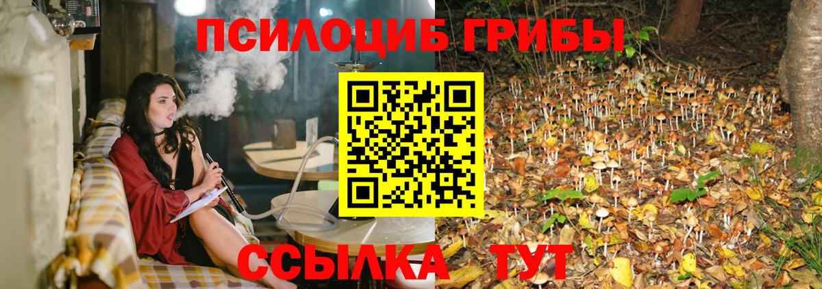 Галлюциногенные грибы ЛСД  Галлюциногенные грибы мицелий  Ессентуки  Вход с VPN 